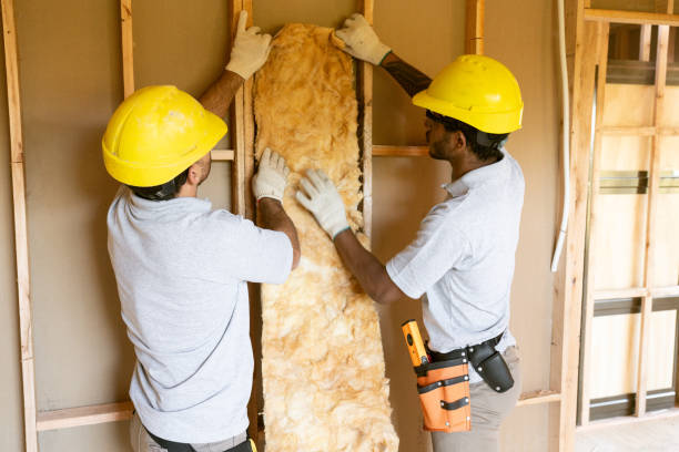 Best Insulation for New Construction  in White Sands, NM